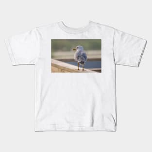 Ring-billed Gull Handrail Walker Kids T-Shirt